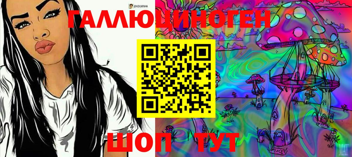 Галлюциногенные грибы Psilocybe  Вход с VPN  Муравленко 