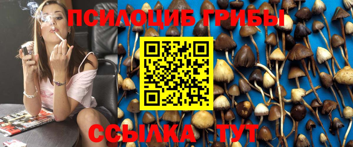 Псилоцибиновые грибы GOLDEN TEACHER Муравленко